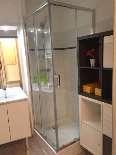 une douche en verre dans une salle de bain avec un lavabo dans l'établissement Avignon Centre ville (+parking), à Avignon
