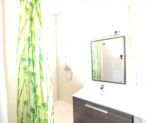 a bathroom with a sink and a mirror at Maison de 7 chambres avec piscine privee terrasse et wifi a Sainte Anne in Sainte-Anne