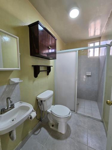 a bathroom with a toilet and a sink and a shower at Sensity Home Casa Novedosa Céntrica y Linda in Tehuacán
