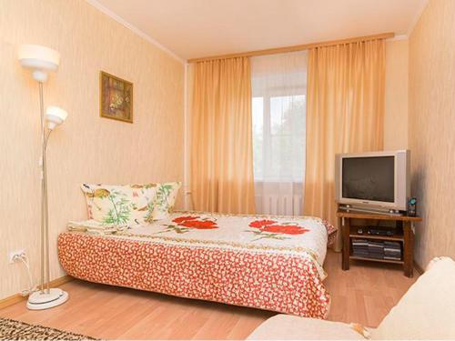 エカテリンブルクにあるApartment Na Malysheva 106のベッドルーム1室(ベッド1台付)、テレビが備わります。