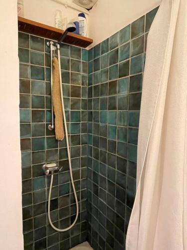 La salle de bains est pourvue d'une douche et d'un mur carrelé vert. dans l'établissement Maison Aix-en-Provence centre, à Aix-en-Provence