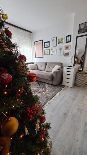 Et opholdsområde på Peni Apartman Centar