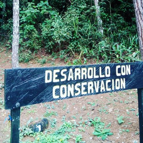 Gallery image of OLP Treehouse Cerro Azul in Cerro Azul