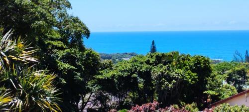 a view of the ocean through the trees at Thalassa's in Port Shepstone