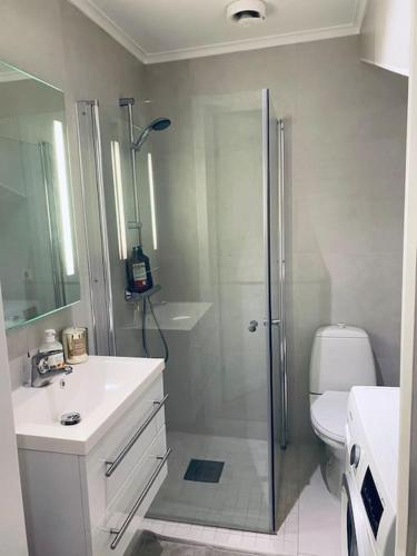 y baño con ducha, lavabo y aseo. en Mycondo no - Ø. Langgt 6, en Tønsberg