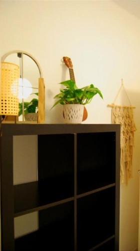 a shelf with a plant and a mirror on it at Habitación céntrica in Valencia