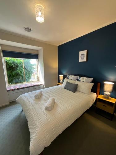 a bedroom with a large white bed with a blue wall at A Scent of Lavender in Mount Gambier