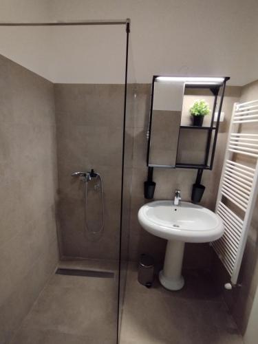 a bathroom with a shower with a sink and a shower at Bela Vila in Banja Koviljača