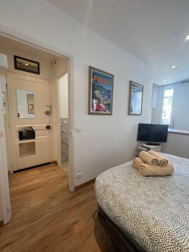 Кухня или мини-кухня в Charmant studio alle porte di Monte-Carlo
