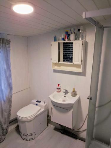 Baño pequeño con aseo y lavamanos en Relax huset, en Malmö
