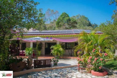 a house with a lot of plants in front of it at Lakou Breda in Cap-Haïtien