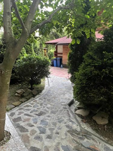 a stone walkway leading into a garden with a house at Вілла Лісова комфорт in Skhidnitsa