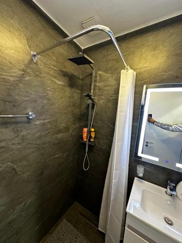 a bathroom with a shower and a sink at Delux City inn in Tirana
