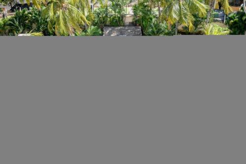 a bunch of palm trees in a garden at Real Intercontinental Metrocentro Managua by IHG in Managua