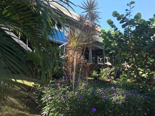 una casa con plantas y flores delante de ella en Emma's by the Sea en Culebra