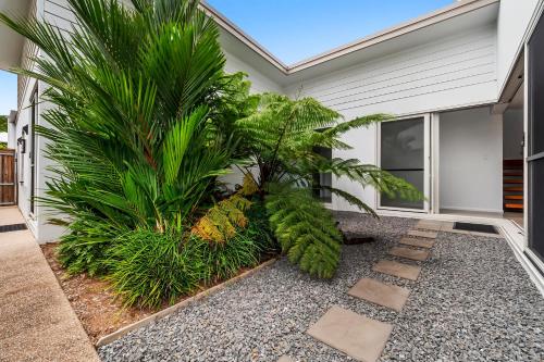a house with a palm tree in front of it at Beachmont Bliss Palm Cove in Palm Cove