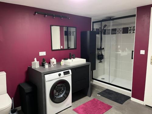 a bathroom with a washing machine and a shower at Comme dans un écrin - T2 de 50 m² avec jardin, terrasse et piscine in Vernaison