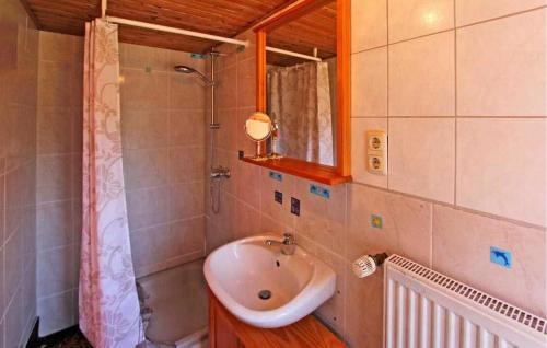 a bathroom with a sink and a shower at 1 Bedroom Stunning Home In Waren mritz in Kölpinsee