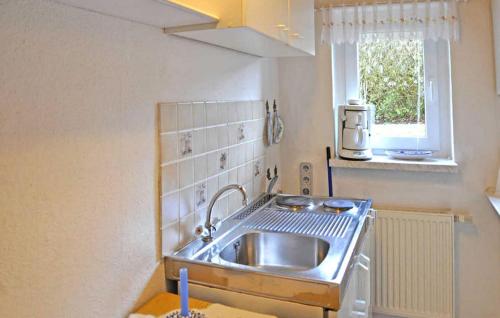 a kitchen with a stainless steel sink and a window at Beautiful Apartment In Neustrelitz With Kitchen in Neustrelitz