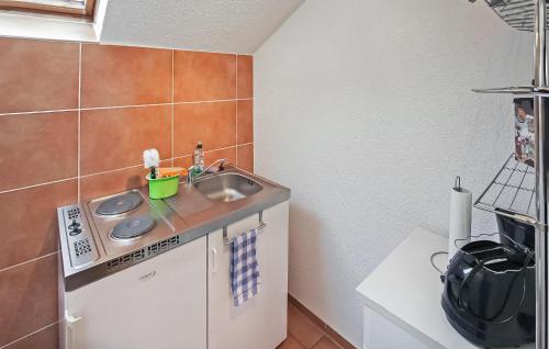 eine kleine Küche mit einer Spüle und einer Mikrowelle in der Unterkunft Awesome Apartment In Rheinsberg Ot Kleinzer With Wifi in Kleinzerlang