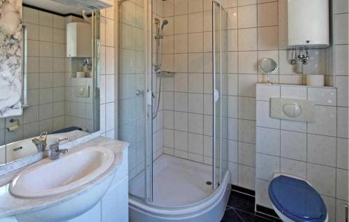a bathroom with a sink and a shower and a toilet at Cozy Home In Waren mritz With Kitchen in Kölpinsee