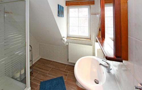 a bathroom with a sink and a shower at 2 Bedroom Cozy Apartment In Sdmritz in Vipperow