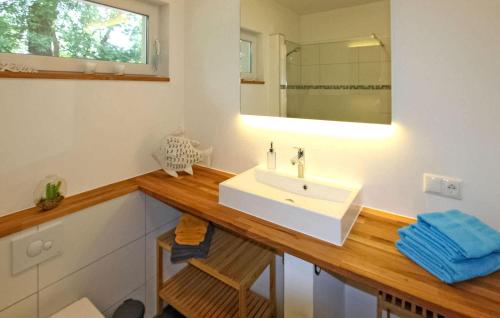 a bathroom with a white sink and a mirror at Beautiful Home In Klink With Wifi in Klink
