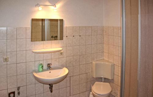 a bathroom with a sink and a toilet and a mirror at Nice Home In Frstenhagen With Lake View in Fürstenhagen