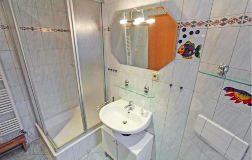 uma casa de banho com um lavatório e um chuveiro em 2 Bedroom Awesome Apartment In Zirtow em Mirow
