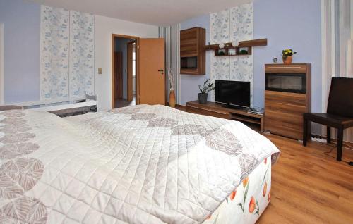 een slaapkamer met een bed en een flatscreen-tv bij Gorgeous Apartment In Ankershagen With Kitchen in Ankershagen