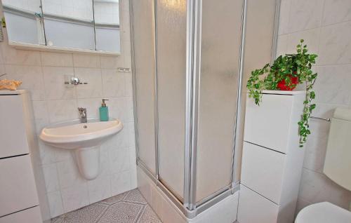 een badkamer met een douche en een wastafel bij Gorgeous Apartment In Ankershagen With Kitchen in Ankershagen