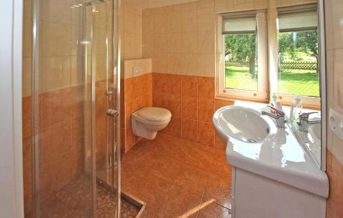 a bathroom with a shower and a toilet and a sink at Cozy Home In Hoffelde With Wifi in Blankensee