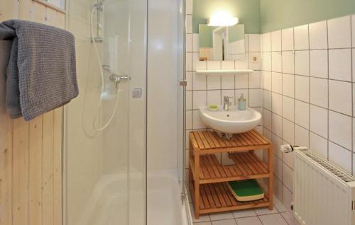 ein Bad mit einer Dusche, einem Waschbecken und einer Dusche in der Unterkunft 2 Bedroom Nice Apartment In Grabowhfe Ot Sophienh 