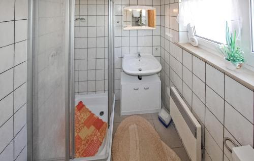 a small bathroom with a sink and a shower at 1 Bedroom Awesome Home In Fuhlendorf in Fuhlendorf