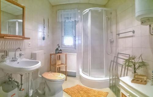 y baño con ducha, aseo y lavamanos. en Gorgeous Home In Waren mritz With Wifi, en Warenshof