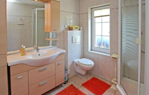 a bathroom with a sink and a toilet and a shower at 3 Bedroom Cozy Home In Blankensee Ot Watzkend in Blankensee