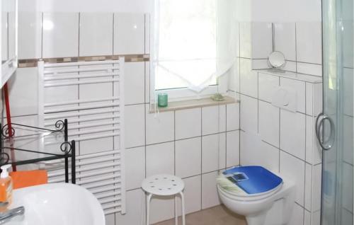 a white bathroom with a toilet and a window at Nice Apartment In Neppermin-usedom With Kitchen in Neppermin