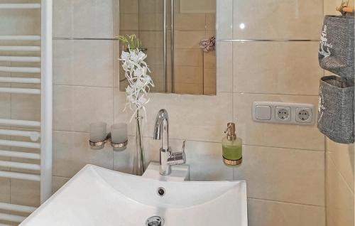 a bathroom with a sink and a mirror at 1 Bedroom Lovely Apartment In Plau Am See Ot Karow in Karow