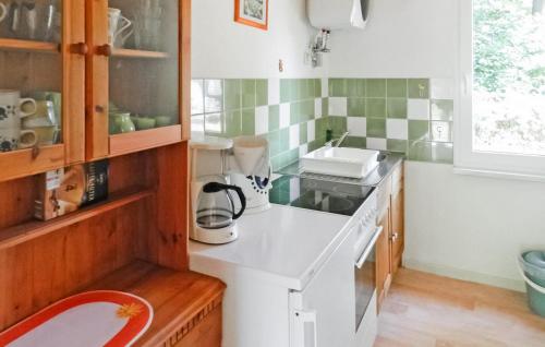 a kitchen with a sink and a counter top at 2 Bedroom Beautiful Home In Boitzenburger Land in Rosenow
