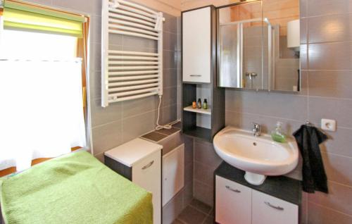 ein kleines Bad mit einem Waschbecken und einem Spiegel in der Unterkunft Lovely Home In Gro Nemerow With Wifi in Groß Nemerow