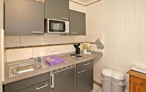 uma pequena cozinha com um lavatório e um micro-ondas em Fh Brombeere em Warenthin