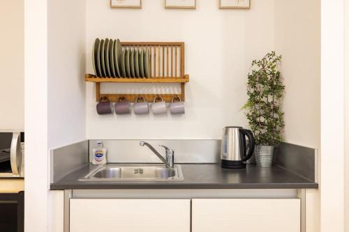 a kitchen counter with a sink in a kitchen at Wild Roses Serviced Apartments - Angel in London