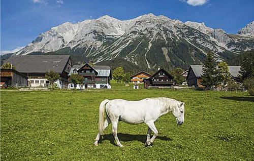 a white horse walking in a field with a mountain at Ferienwohnung Mit Badeteich in Ramsau am Dachstein