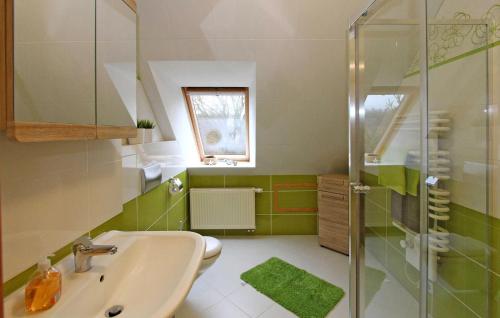 La salle de bains est pourvue d'un lavabo et d'une douche. dans l'établissement Cozy Apartment In Userin With Lake View, à Userin