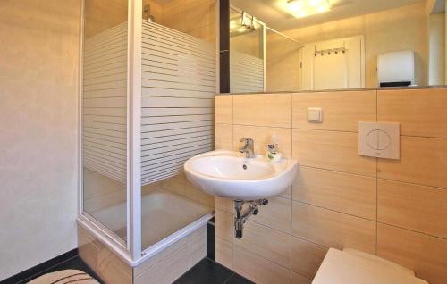 uma casa de banho com um lavatório e um chuveiro em Gorgeous Apartment In Hohen Sprenz With Kitchen em Hohen Sprenz
