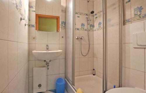 uma casa de banho com um chuveiro, um lavatório e um WC. em 1 Bedroom Gorgeous Home In Feldberger Seenlandsch em Feldberg