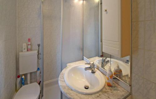uma casa de banho com um lavatório, um chuveiro e um WC. em 2 Bedroom Pet Friendly Home In Zettemin Ot Rtzenfeld em Varchentin