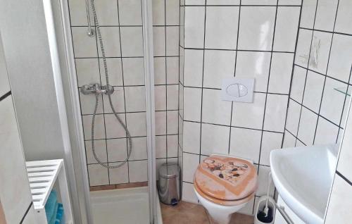 uma casa de banho com um chuveiro, um WC e um lavatório. em Gorgeous Apartment In Frstenwerder With Wifi em Fürstenwerder