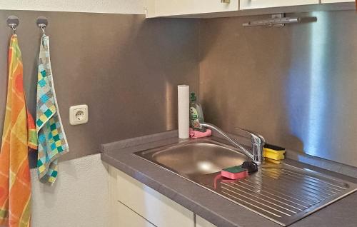 - un comptoir de cuisine avec évier dans l'établissement Amazing Home In Lbberstorf With Kitchen, à Lübberstorf