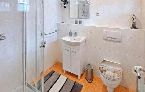 uma casa de banho com um chuveiro, um lavatório e um WC. em Beautiful Home In Barth With Kitchen em Barth